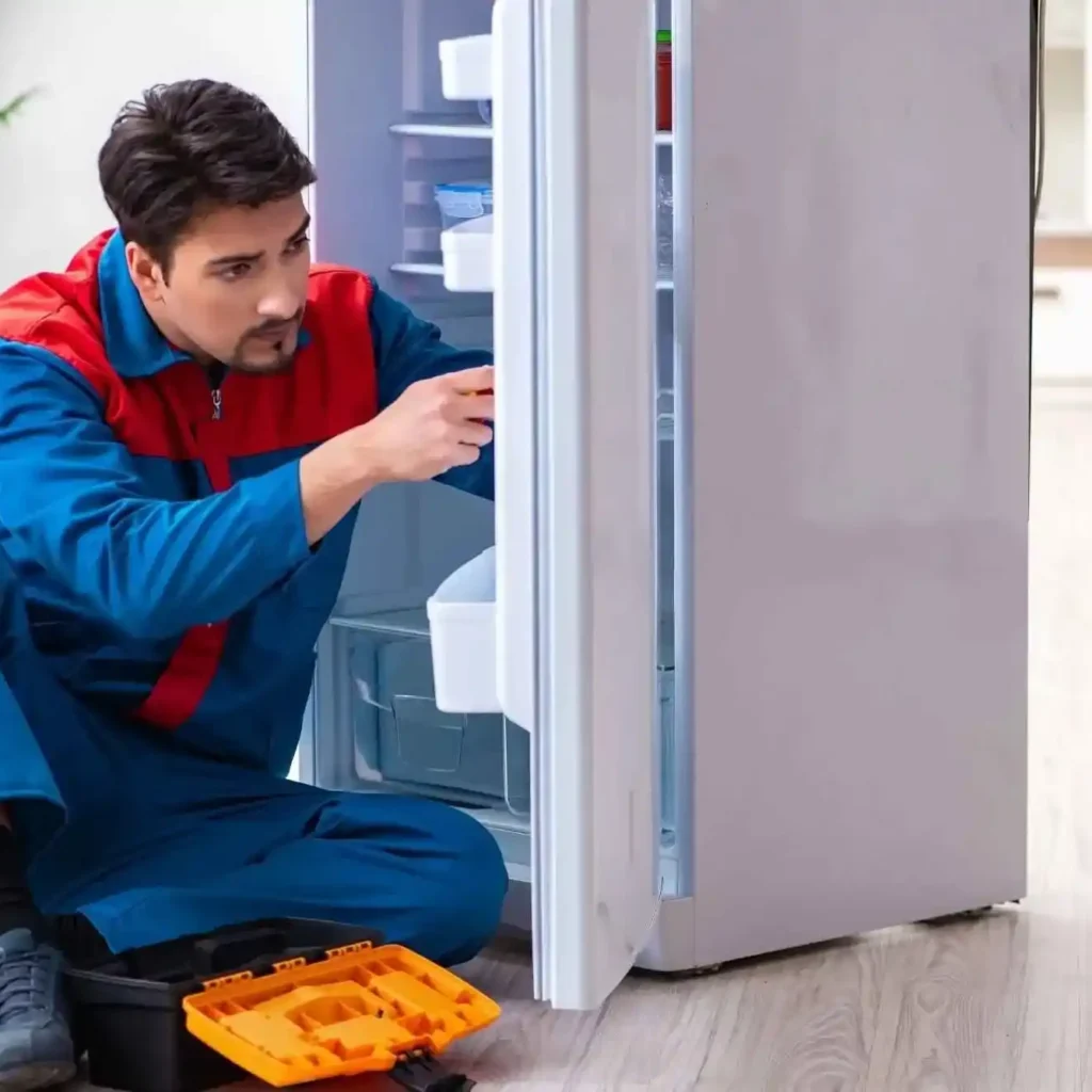 Repair Services in Arabian Ranches