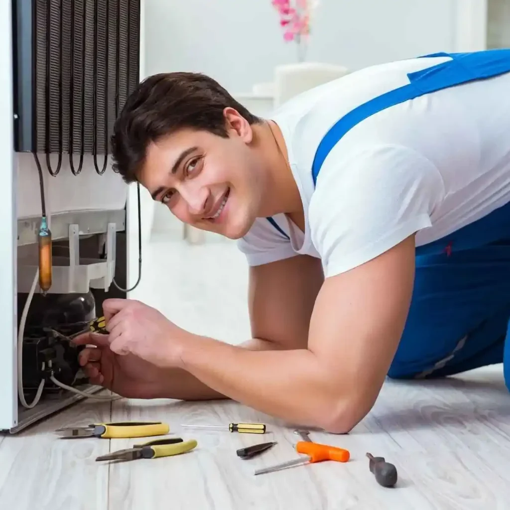 Repair Services in Barsha Heights