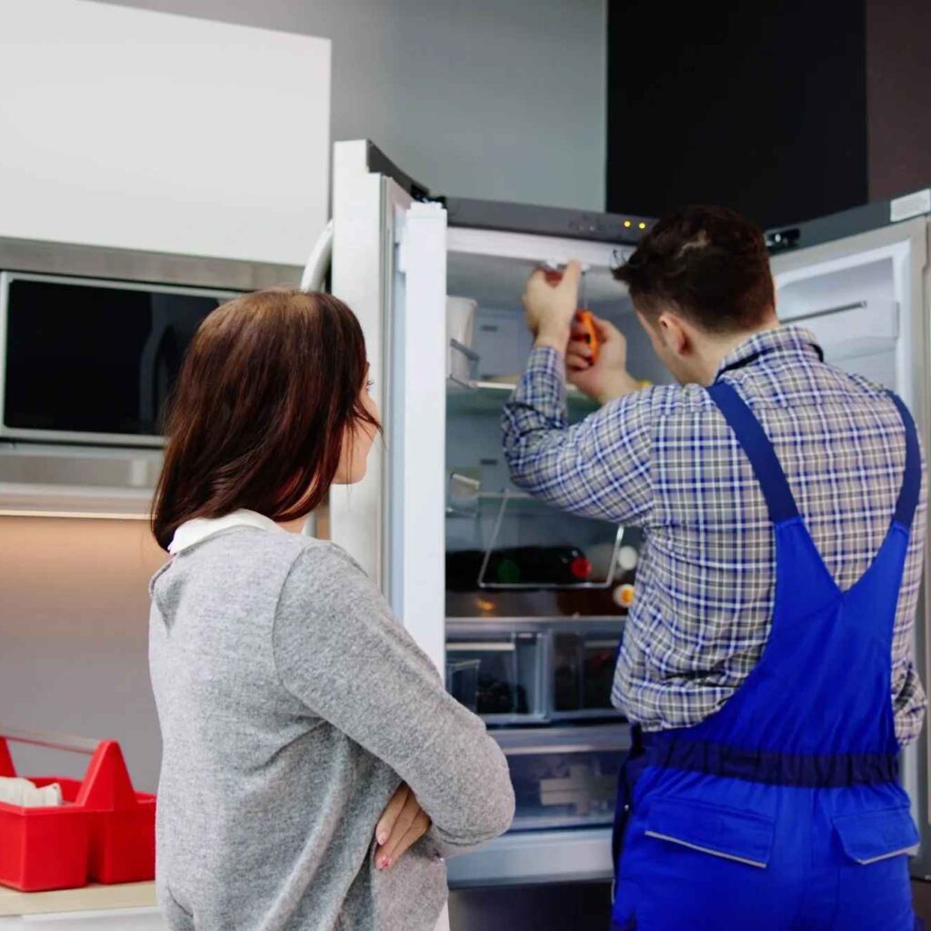 Repair Services in DIP