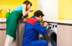 Repair Services in Impz