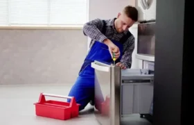 Repair Services in Springs